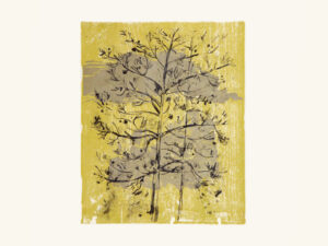 It's Our Dreams That Point The Way To Freedom