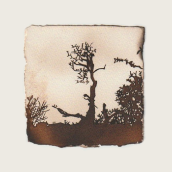 Cognate Landscapes I