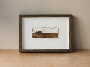 Untold Narrative I, Dungeness