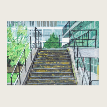 Steps: Churchill Gardens