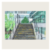 Steps: Churchill Gardens - Image 2