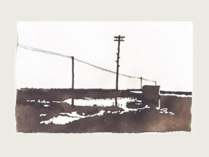 Study of Silent Echoes II