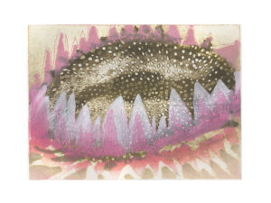 Softened By Warming II