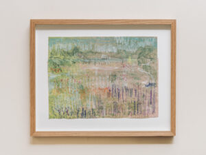 Piet's Field (Colour Dance)
