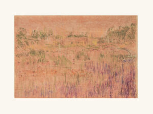 Piet's Field II